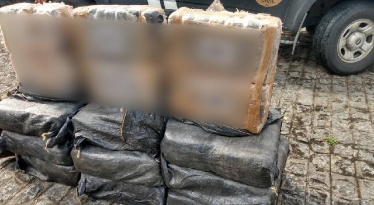 Polícia Civil apreende 300kg de maconha avaliados em R$ 4,5 milhões (Foto: SSP/SE)