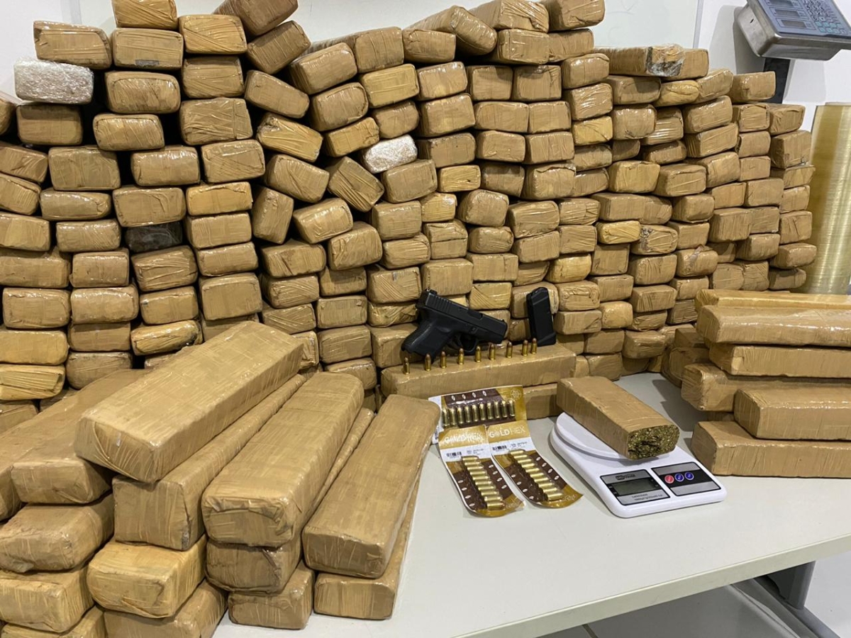 Operação conjunta entre Polícias Civil e Militar apreende 200kg de maconha e desativa rota interestadual de tráfico de drogas (Foto: SSP/SE)