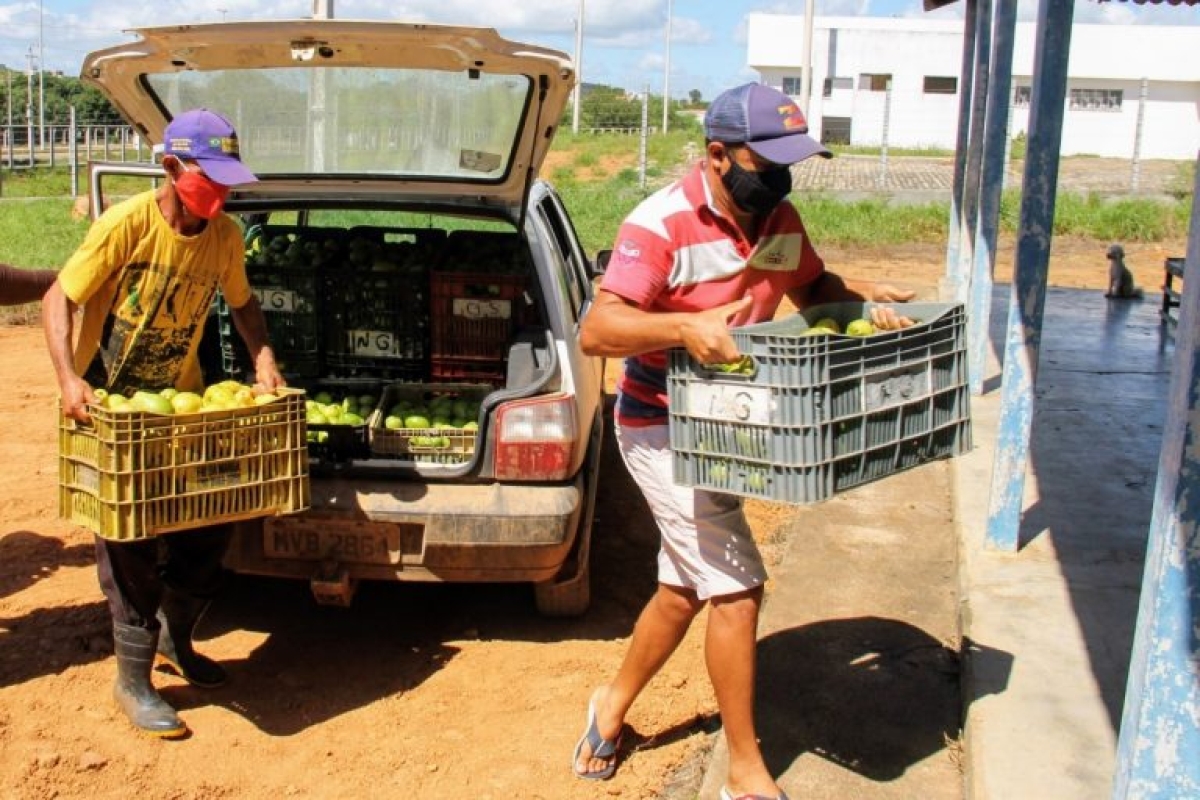 SEIAS lança editais do Programa de Aquisição de Alimentos para fornecedores e unidades recebedoras (Foto: Fernando Augusto)