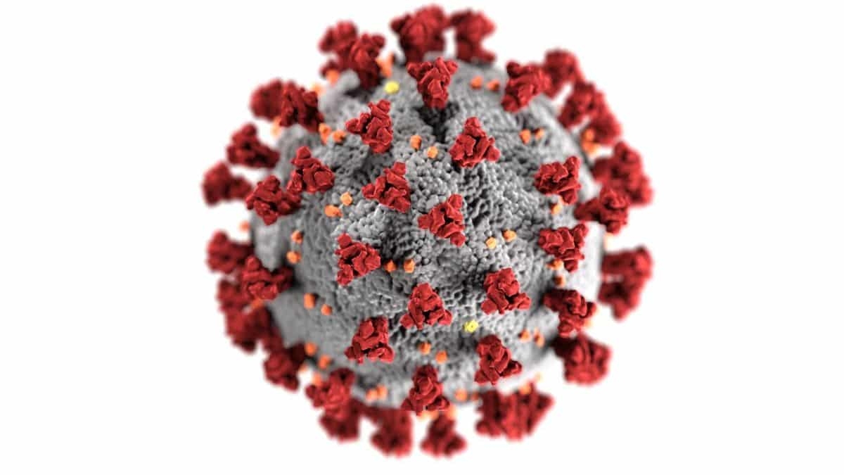 Seis meses de pandemia e seis fatos já conhecidos sobre a Covid-19 (Imagem: CDC/ Unsplash)