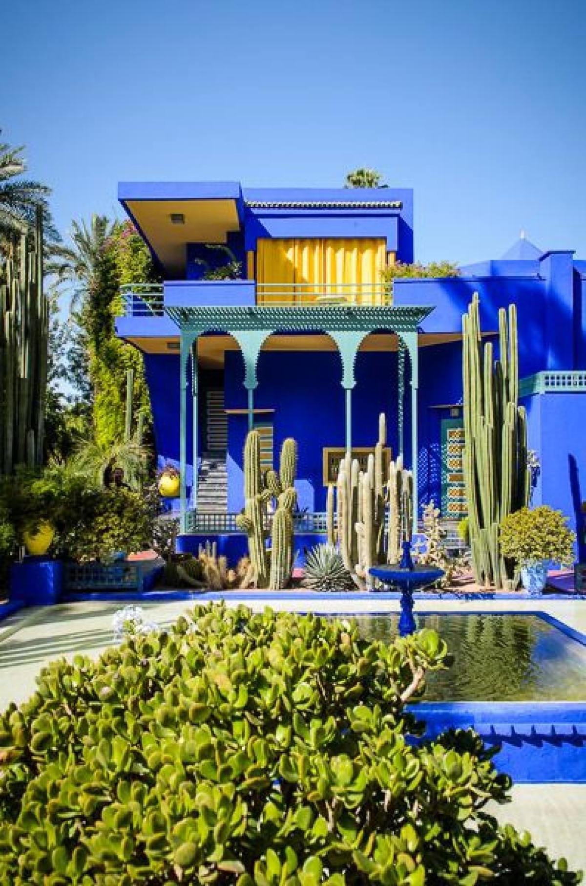 Ardim Majorelle, onde Yves Saint Laurent passou os últimos anos da sua vida (Foto: Carla Passos)