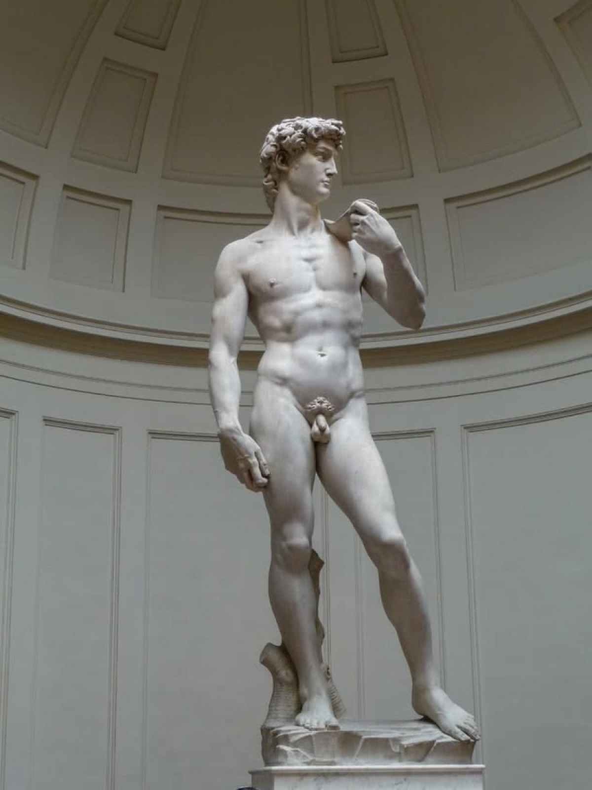 O David orininal de Michelangelo pode ser visitado na Galeria dell??Accademia (Foto: Carla Passos)