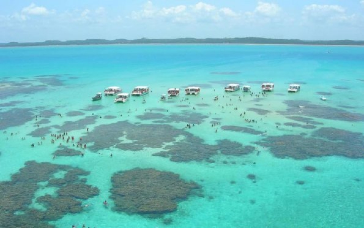 ? possível visitar as piscinas naturais de jangada em Milagres, Maragogi, Maceió, Praia do Francês, entre outras praias (Foto: Carla Passos)