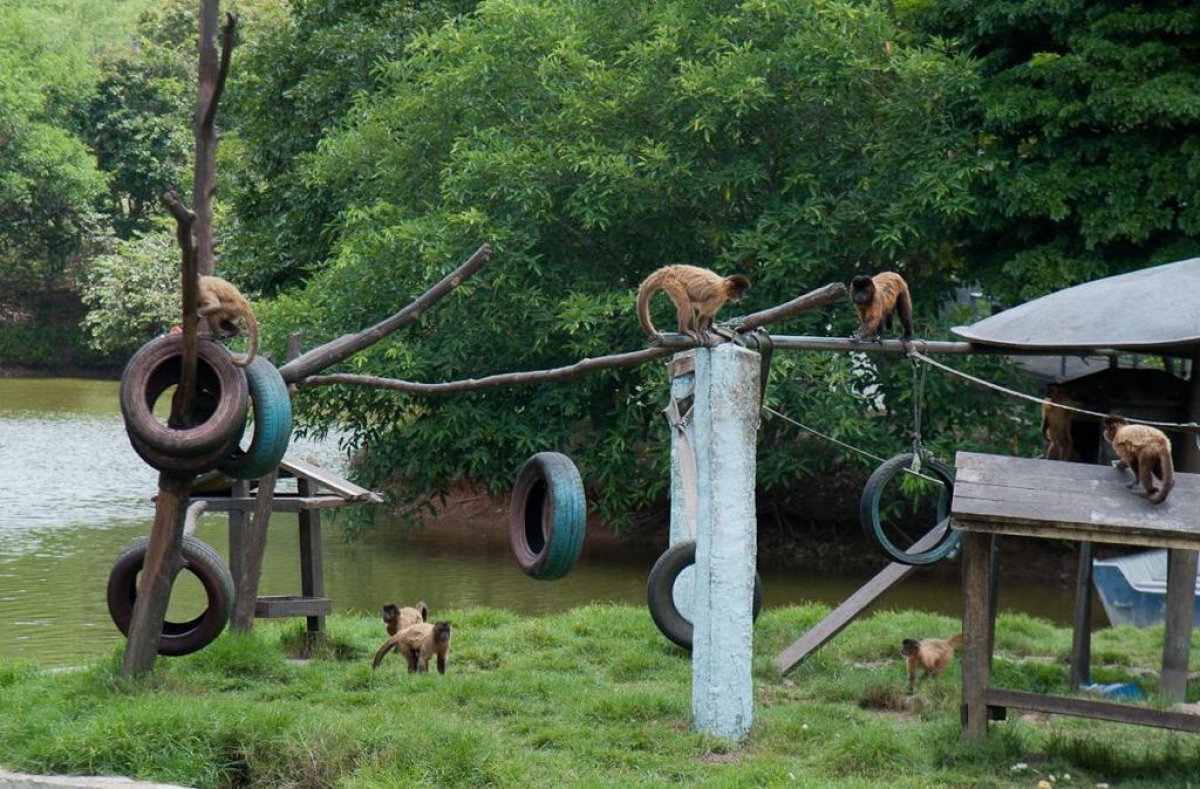 Governo do Estado apresenta à imprensa novas instalações do Zoológico de Aracaju (Foto: Ascom Sedurbs)