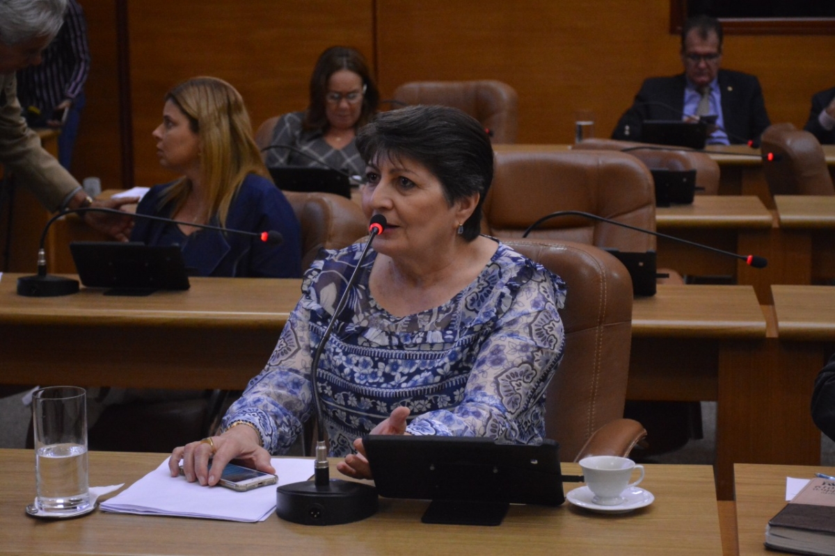 Deputada defende reforço das campanhas de informação e conscientização sobre as doenças virais (Foto: Assessoria Maria Mendonça)