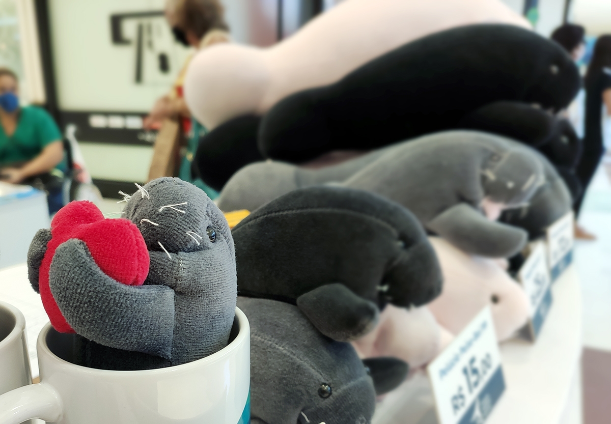 Fundação Mamíferos Aquáticos apresenta miniexposição com peças do acervo e produtos à venda no Shopping Jardins (Foto: Divulgação)