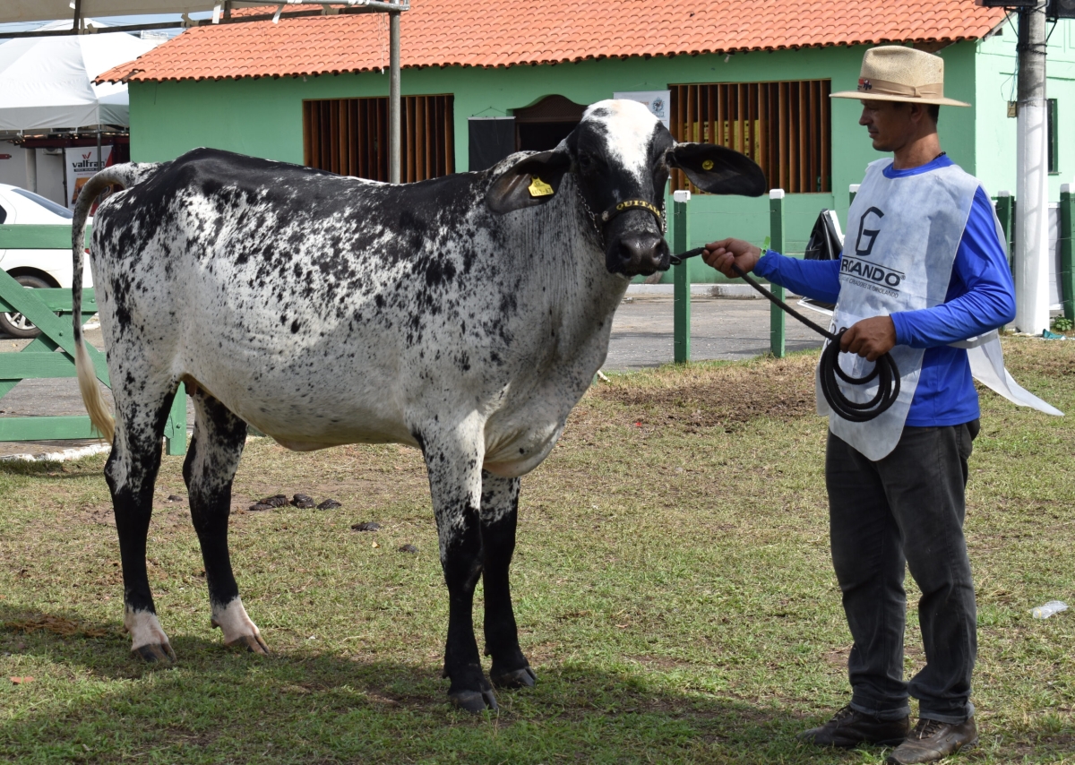 Feira Agropecuária é adiada para o segundo semestre (Foto: Senar/SE)