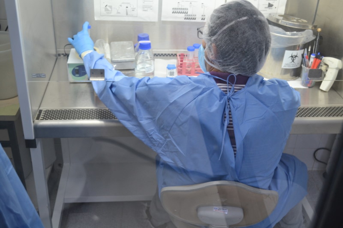 Certificado atesta qualidade em exames para confirmação da tuberculose no Lacen (Foto: SES/SE)