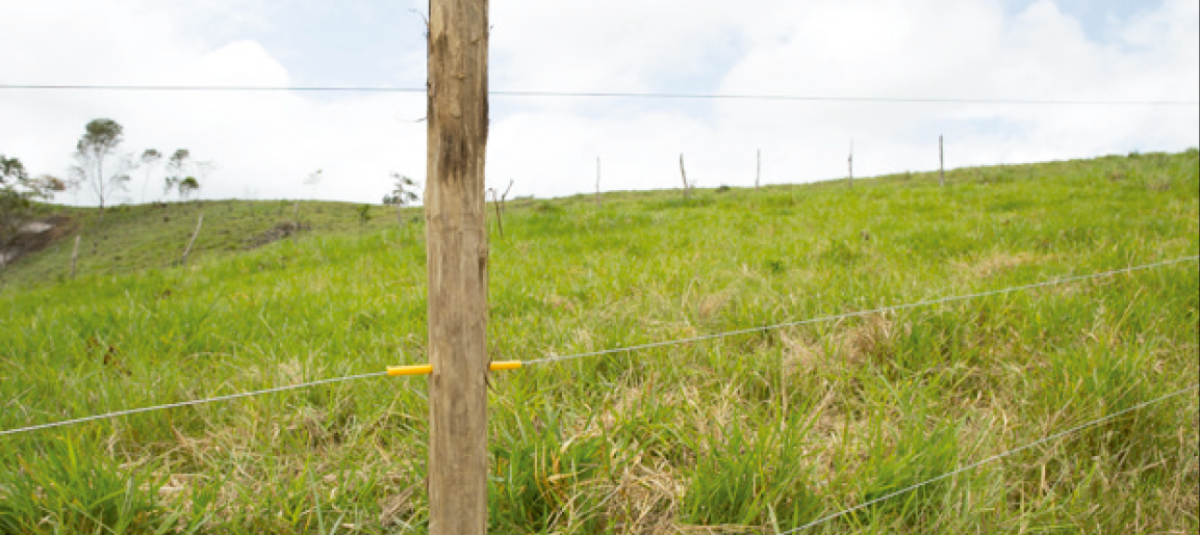 Inscrições abertas para o curso de cerca elétrica: instalação e funcionamento (Foto: Senar/SE)