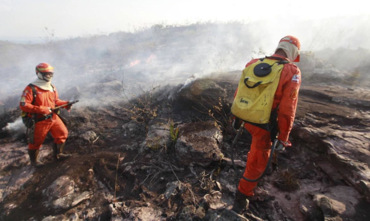 Ibama é autorizado a contratar temporariamente 1.659 profissionais (Foto: Mateus Pereira/ GOVBA)
