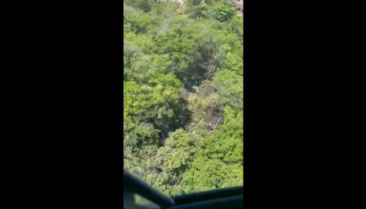 Queda de aeronave: bombeiros tentam resgatar corpo do piloto (Foto: Portal Infonet) Queda de aeronave: bombeiros tentam resgatar corpo do piloto (Foto: Portal Infonet)