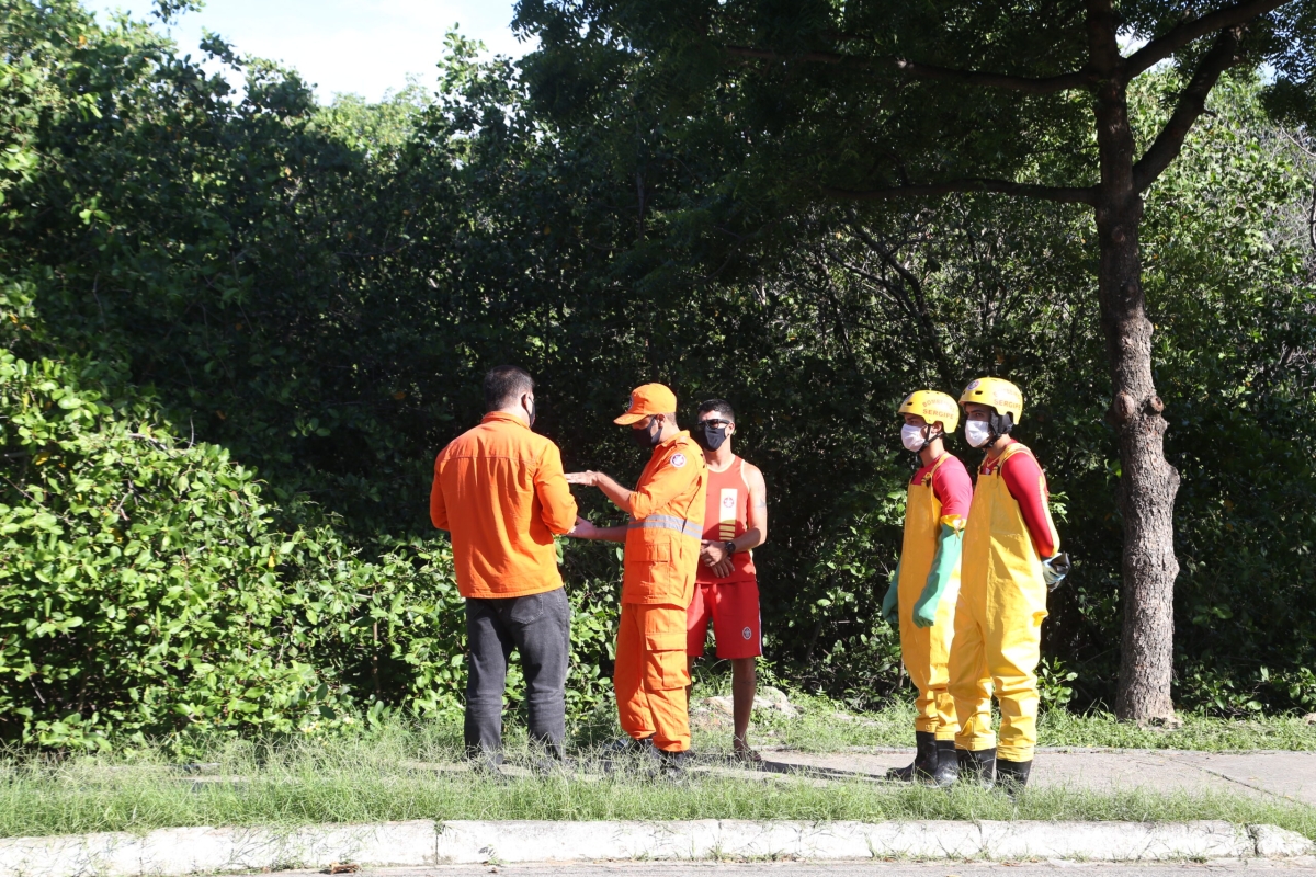 A informação foi confirmada pela SSP (Foto: Marcelle Cristinne)