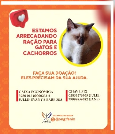 Conheça o trabalho desenvolvido por  protetores dos animais. Saiba como ajudar (Imagem: Divulgação)