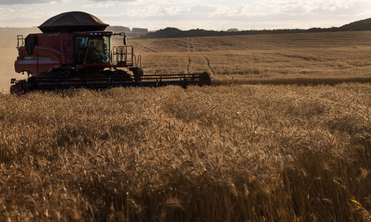 Governo fixa ações para avaliar importação de produtos agropecuários (Foto: CNA/ Wenderson Araujo/ Trlux)