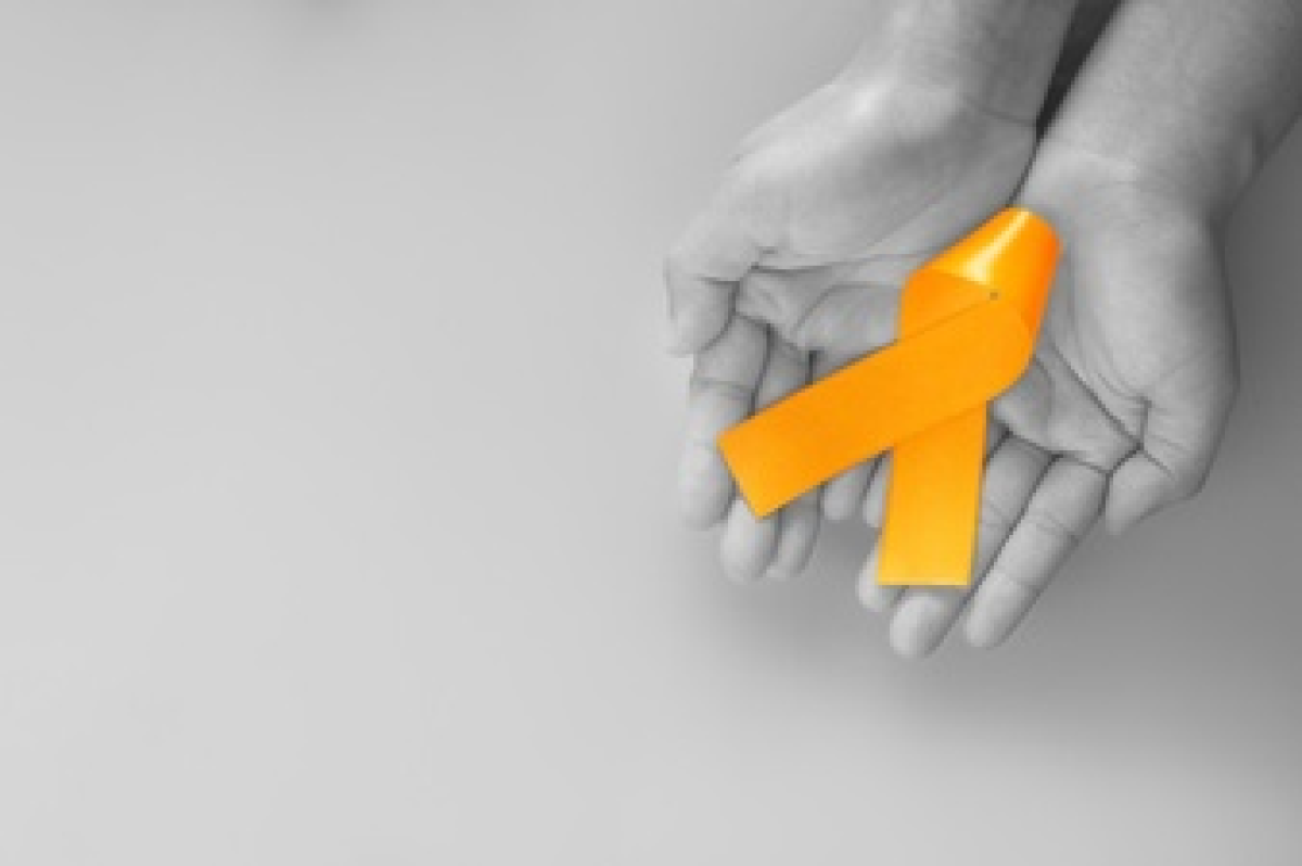 Campanha Junho Laranja alerta para cuidados precoces com a anemia e a leucemia (Foto: Ascom Unimed)