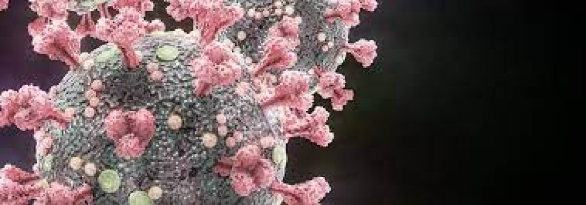 Covid-19 pode causar inflamação semelhante ao Alzheimer, diz pesquisa (Imagem: Olhar Digital)