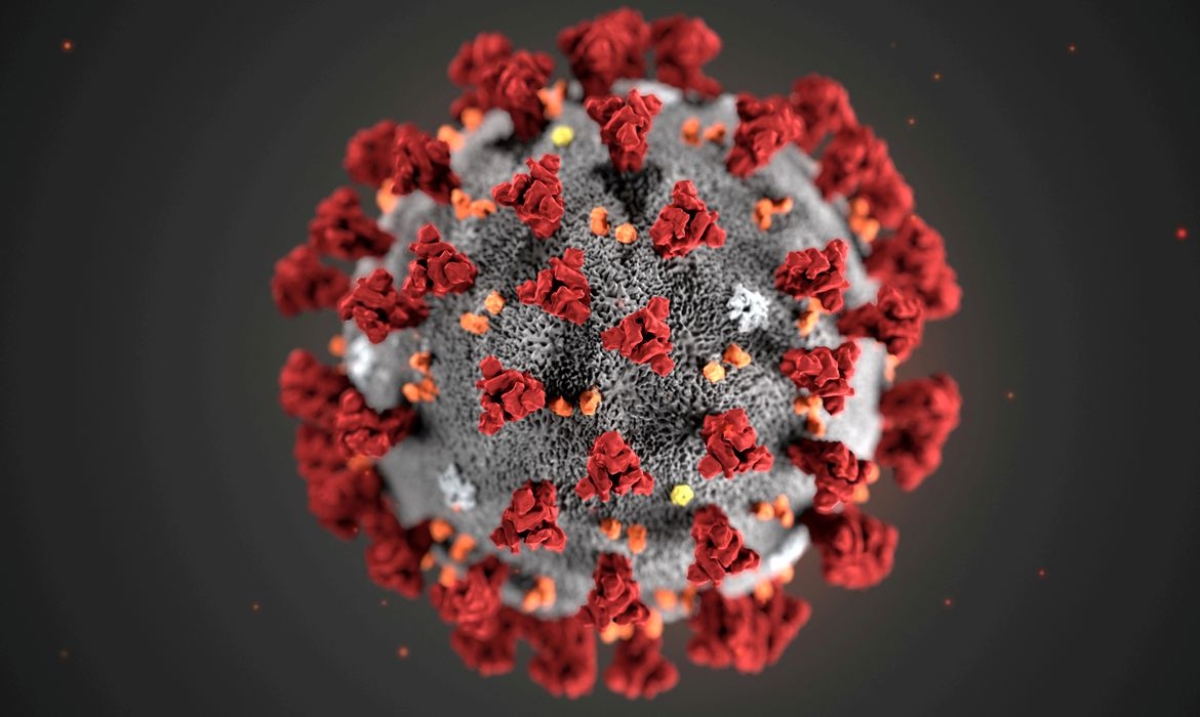 Fiocruz: estudo sugere que variante Delta pode causar mais reinfecções (Imagem: Handout)