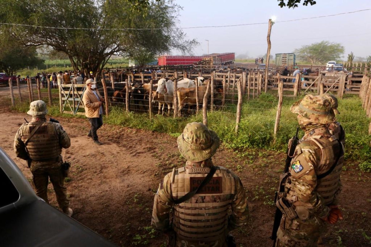 Em operação, Dercra e Ciopac flagram feira com venda de gado sem indicação de origem em Nossa Senhora da Glória (Foto: Jorge Henrique/ SSP/SE)