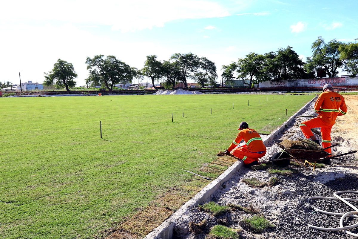 Prefeitura conclui colocação do gramado no Estádio João Hora (Foto: André Moreira/ Prefeitura de Aracaju)