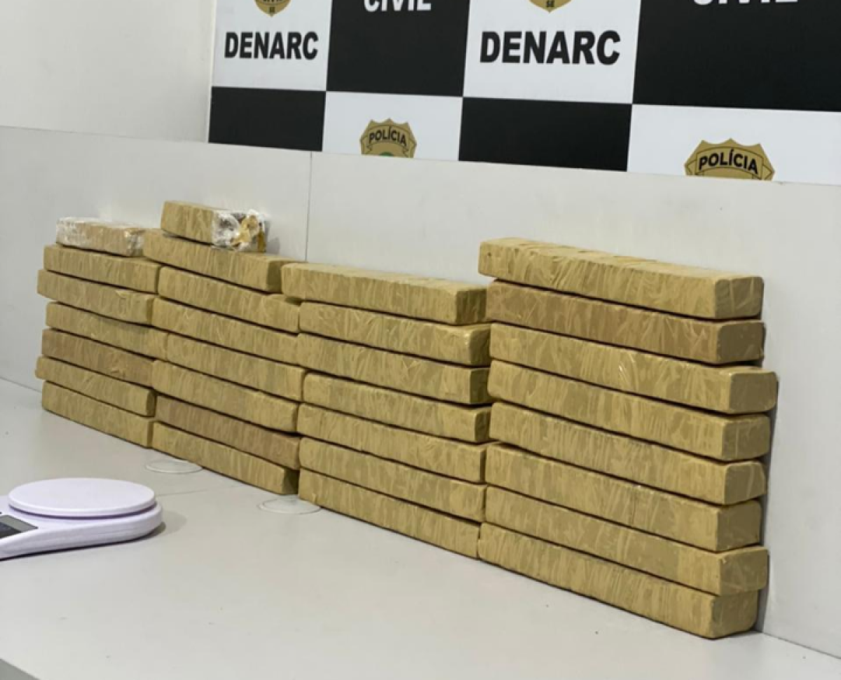 Denarc apreende 20kg de maconha na Grande Aracaju (Foto: SSP/SE)