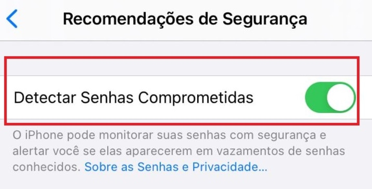 Recurso do iPhone permite ver se suas senhas vazaram; veja como usar (Imagem: Reprodução)