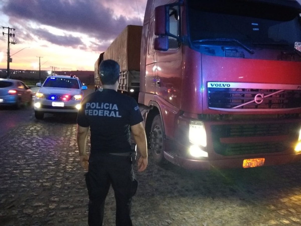 Polícia Federal apreende quase seis toneladas de maconha (Foto: PF/SE)