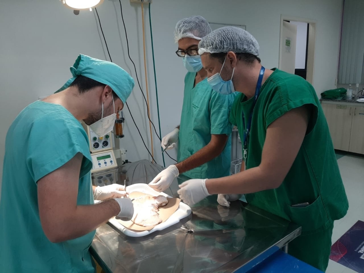Uso de animais em pesquisas segue padrões éticos e legais (Foto: Assessoria de Imprensa Unit)