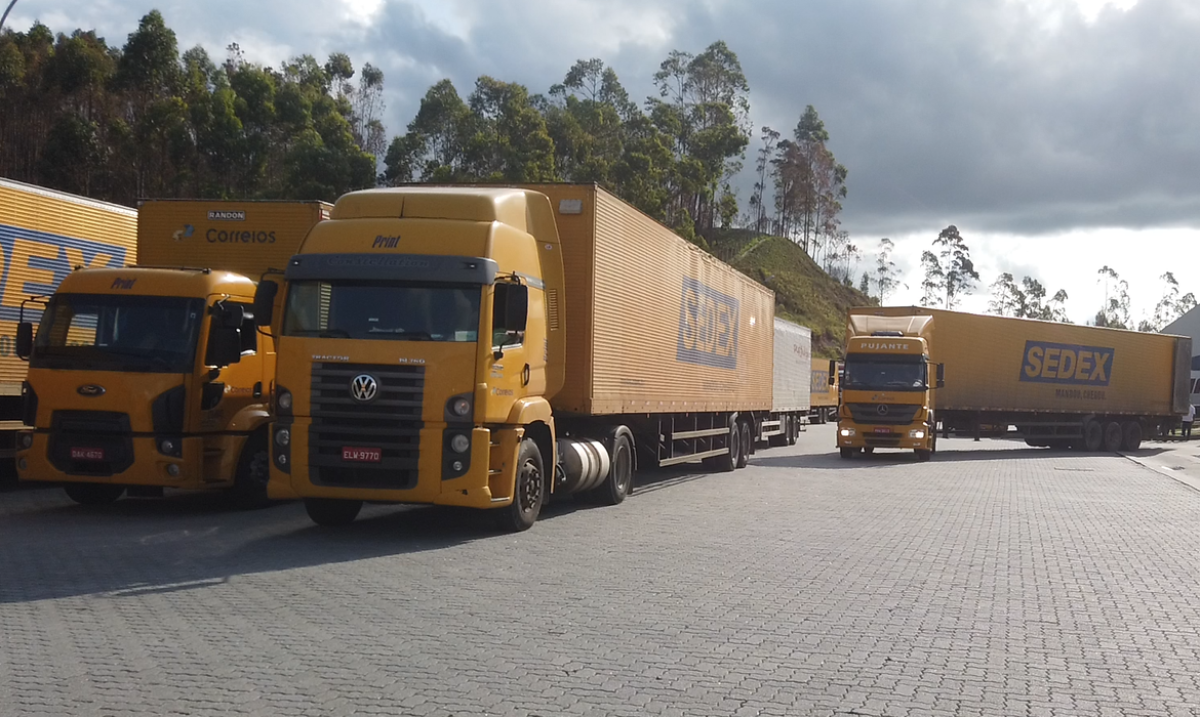 Correios fazem leilão de 61 mil objetos (Foto: Divulgação/ TV Brasil)
