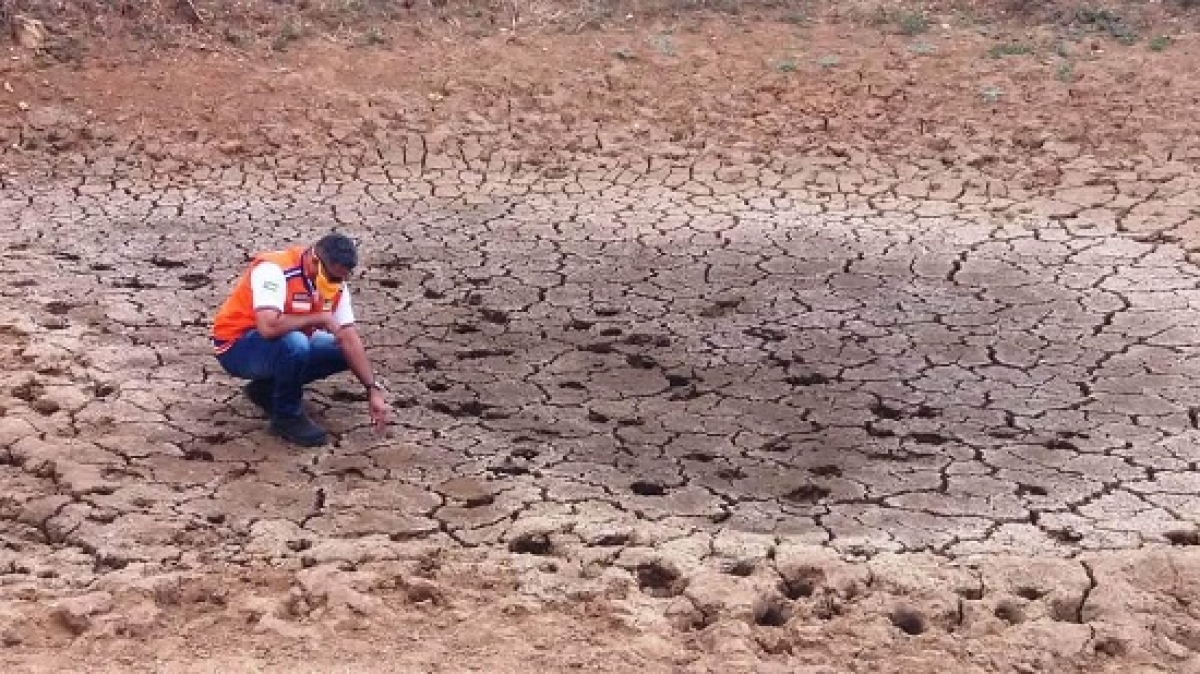 São 12 municípios em situação de emergência por seca ou estiagem (Foto: Defesa Civil de Sergipe)