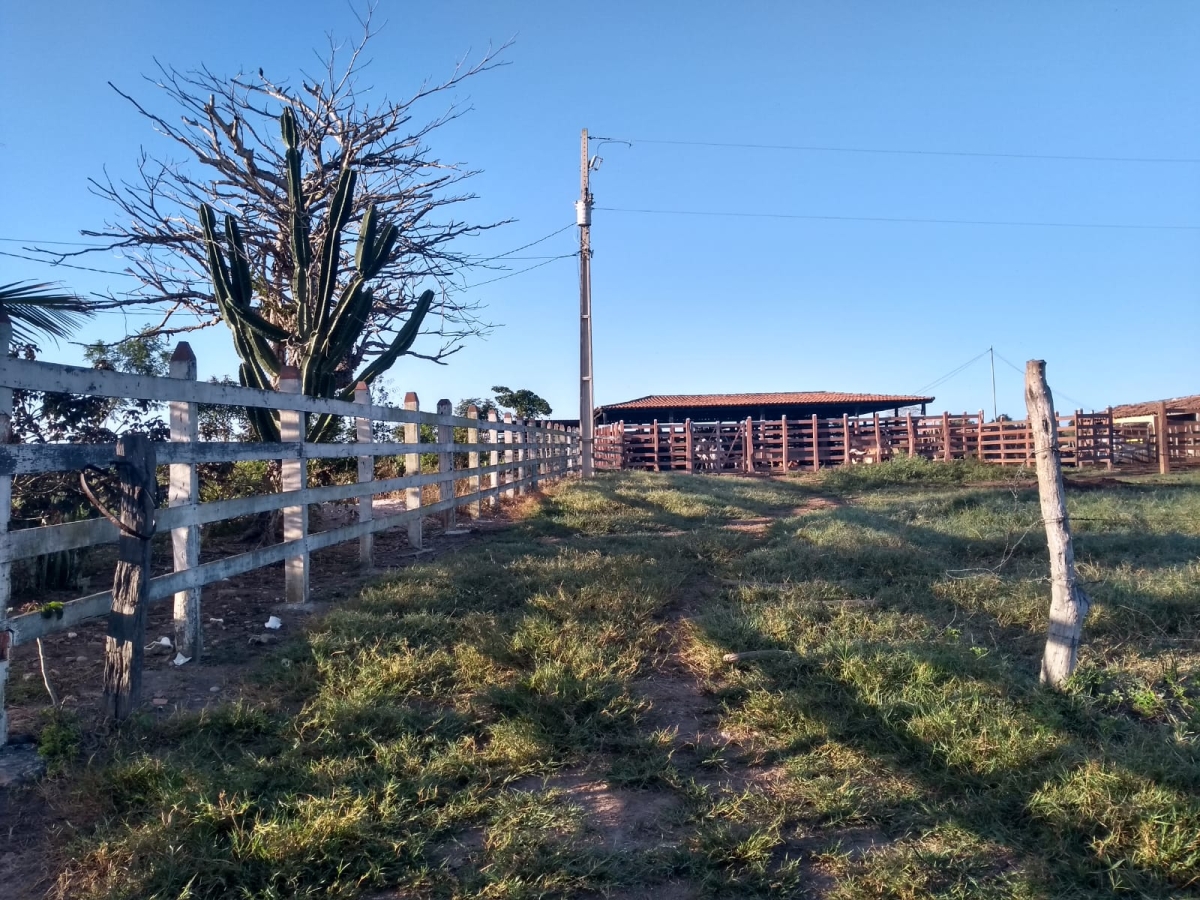 Consumidores beneficiados pela tarifa rural devem atualizar cadastro (Foto: Assessoria Energisa Sergipe)