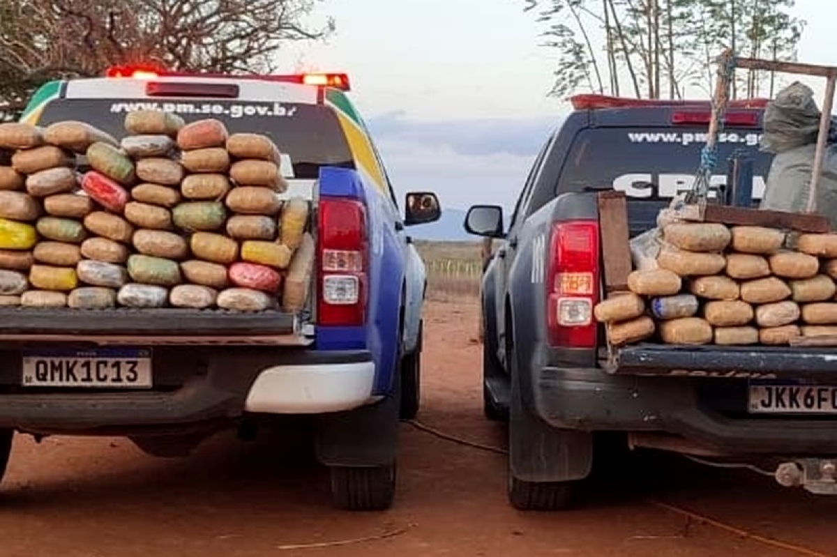 Polícia Militar apreende mais de 142 kg de maconha no Alto Sertão sergipano (Foto: PM/SE)