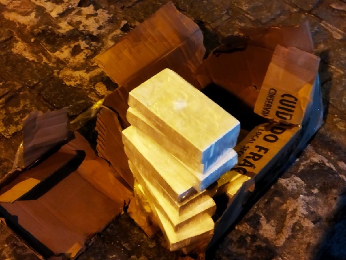 PF apreende 11 kg de cocaína (Foto: PF/SE)