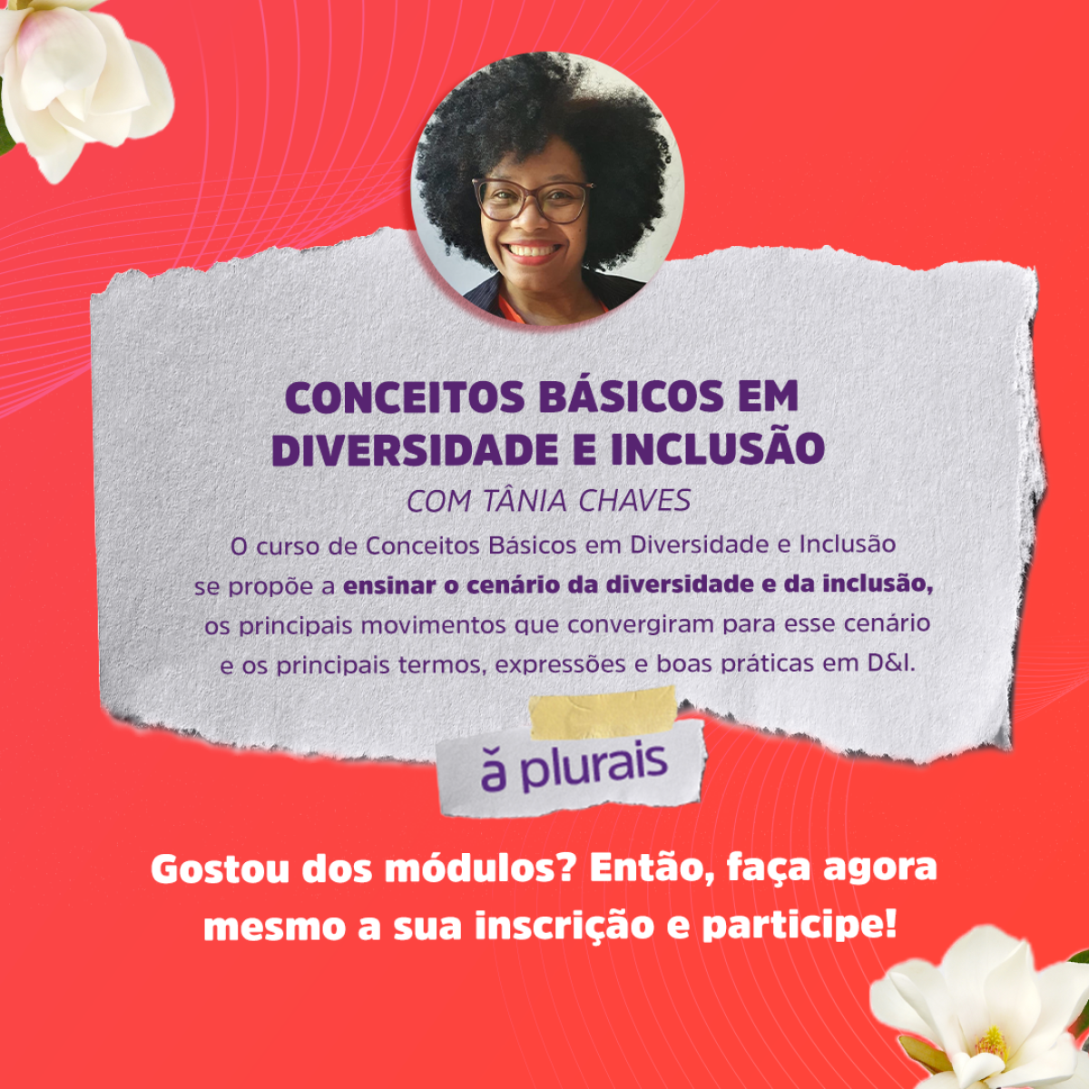 Imagem: Divulgação
