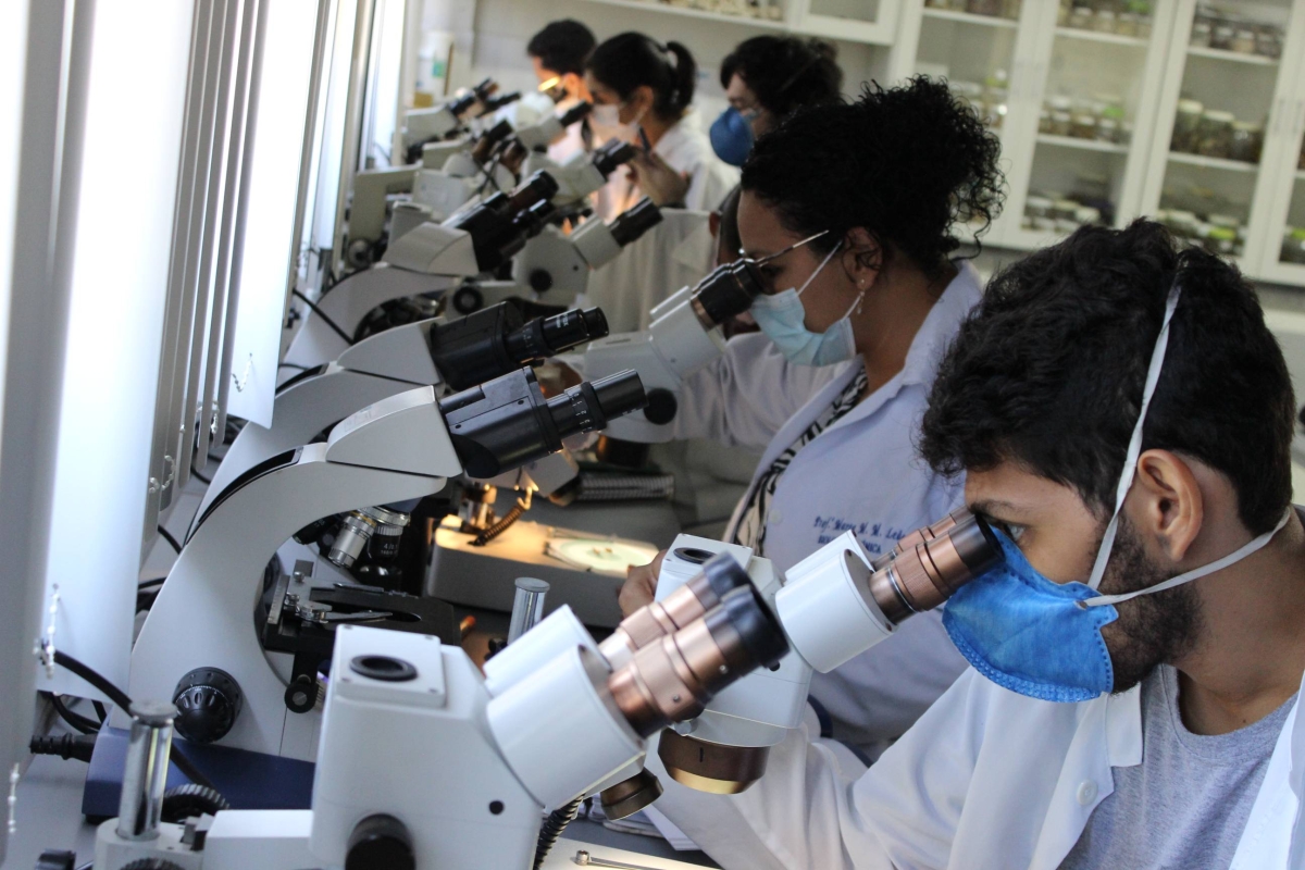 Ministério da Saúde, em parceria com o ITP, Unit e Lacen, promove capacitação de técnicos para identificação de vetores da Doença de Chagas (Foto: Assessoria de Imprensa ITP)