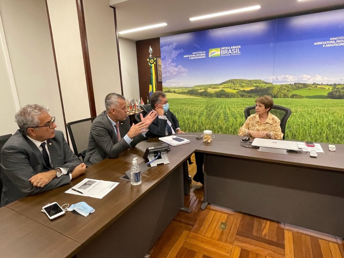 Laércio Oliveira debate fertilizantes e segurança alimentar com ministra Tereza Cristina (Foto: Site Laércio Oliveira)