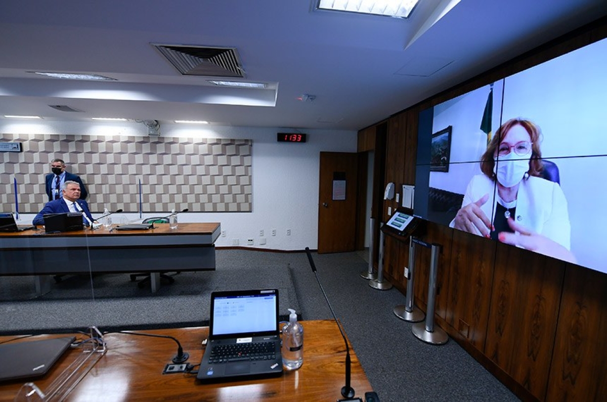 Relatora, Zenaide Maia (no telão) apresentou substitutivo a projeto de Randolfe Rodrigues (Foto: Edilson Rodrigues/ Agência Senado)