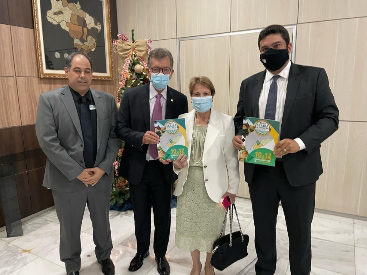 Laércio Oliveira discute agronegócio sergipano com ministra da Agricultura (Foto: Site Laércio Oliveira)