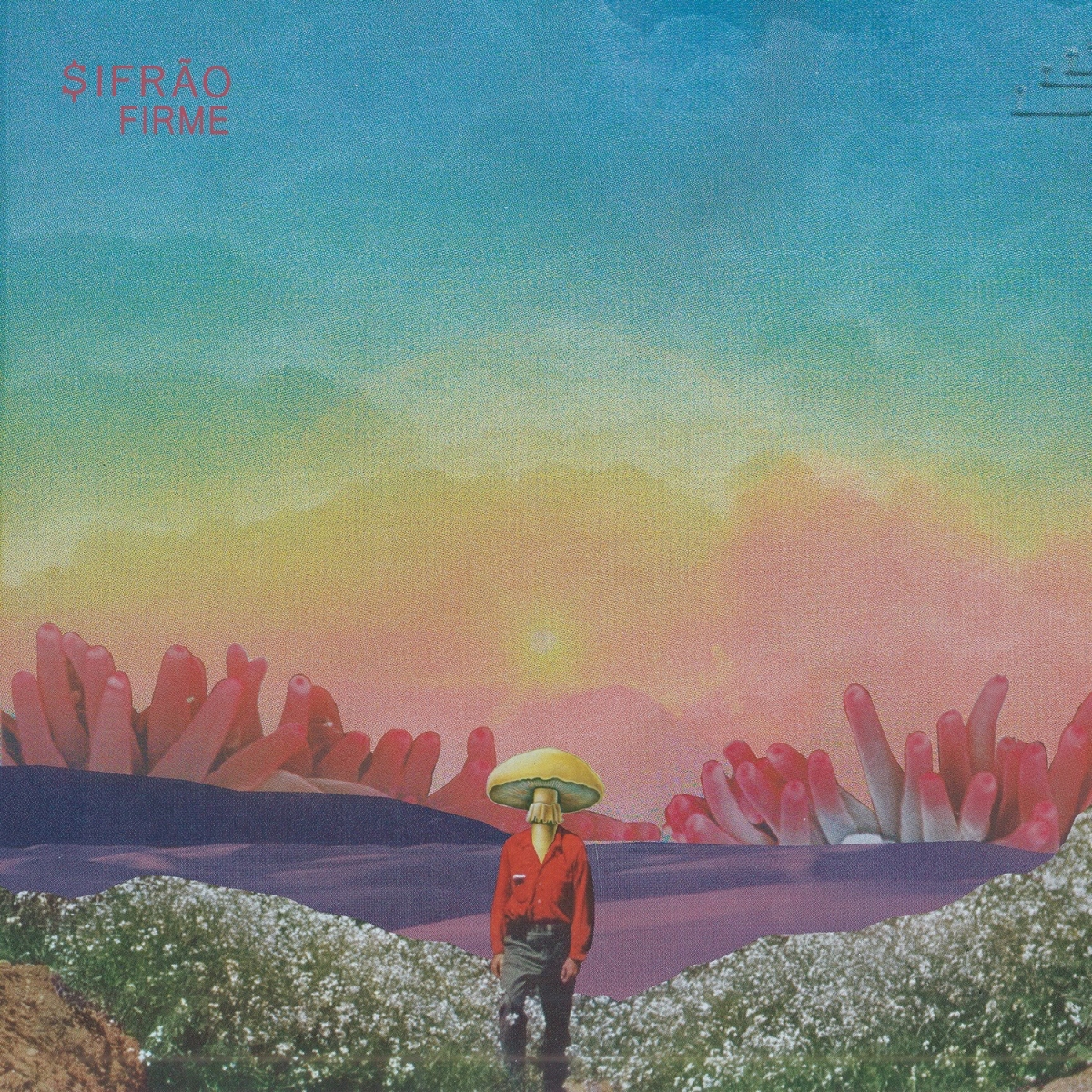 Capa do álbum "Firme"