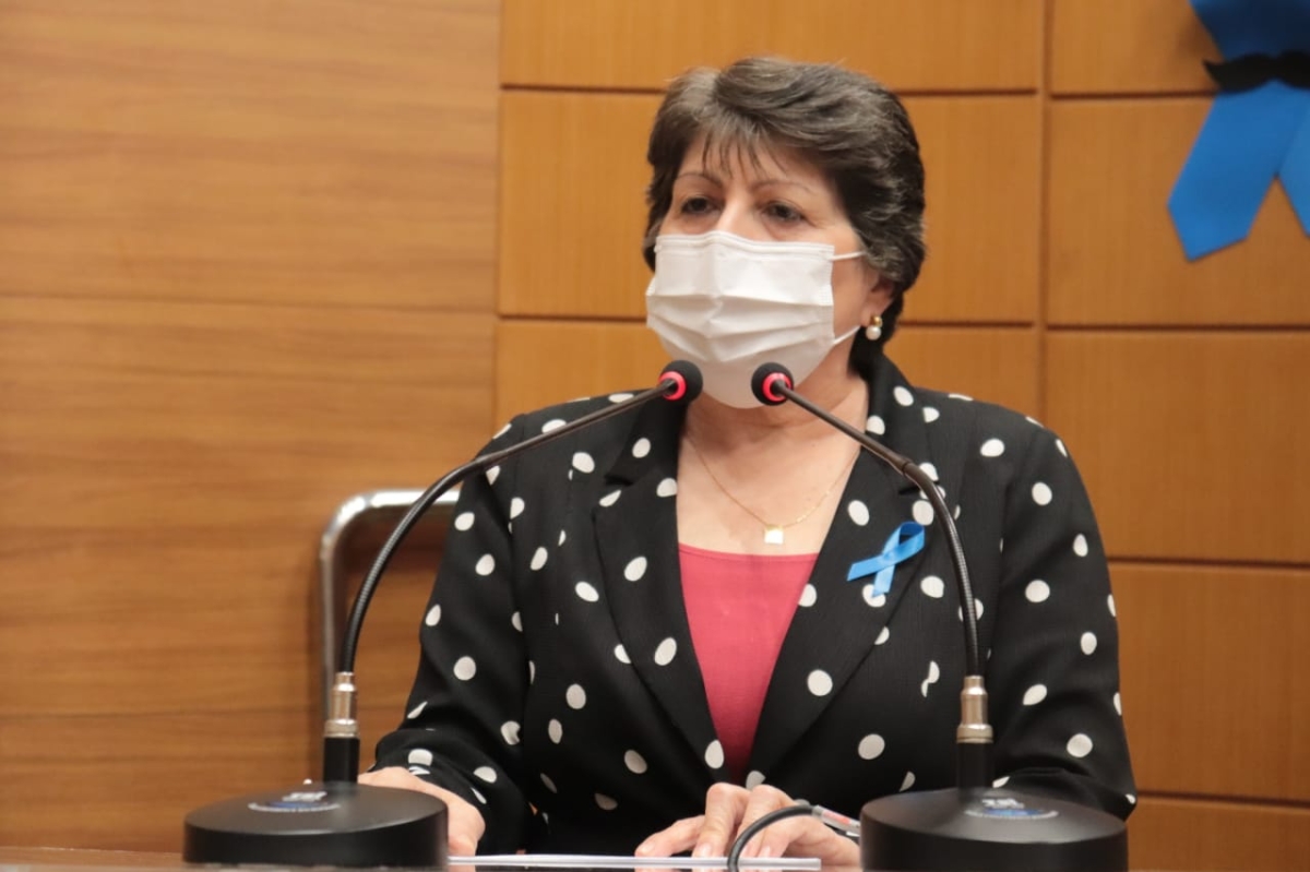 Maria Mendonça apela por intervenção do Governo para impedir demissão de empregados da West Coast (Foto: Assessoria Maria Mendonça)