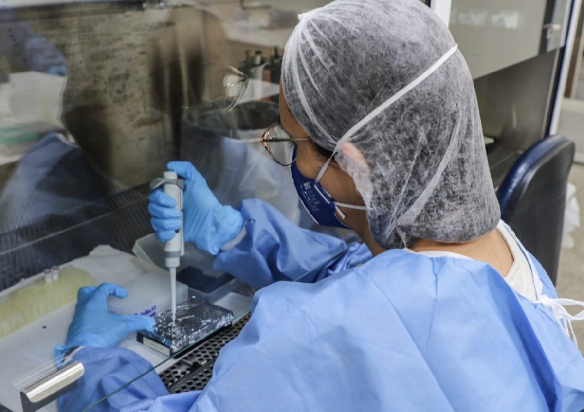 Lacen reforça importância das testagens para Covid-19 e H3N2 (Foto: SES/SE)