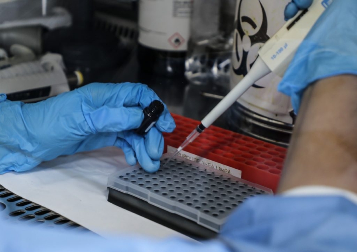 Sergipe confirma 1.118 casos e 29 óbitos por Influenza A H3N2 (Foto: Flávia Pacheco/ SES/SE)