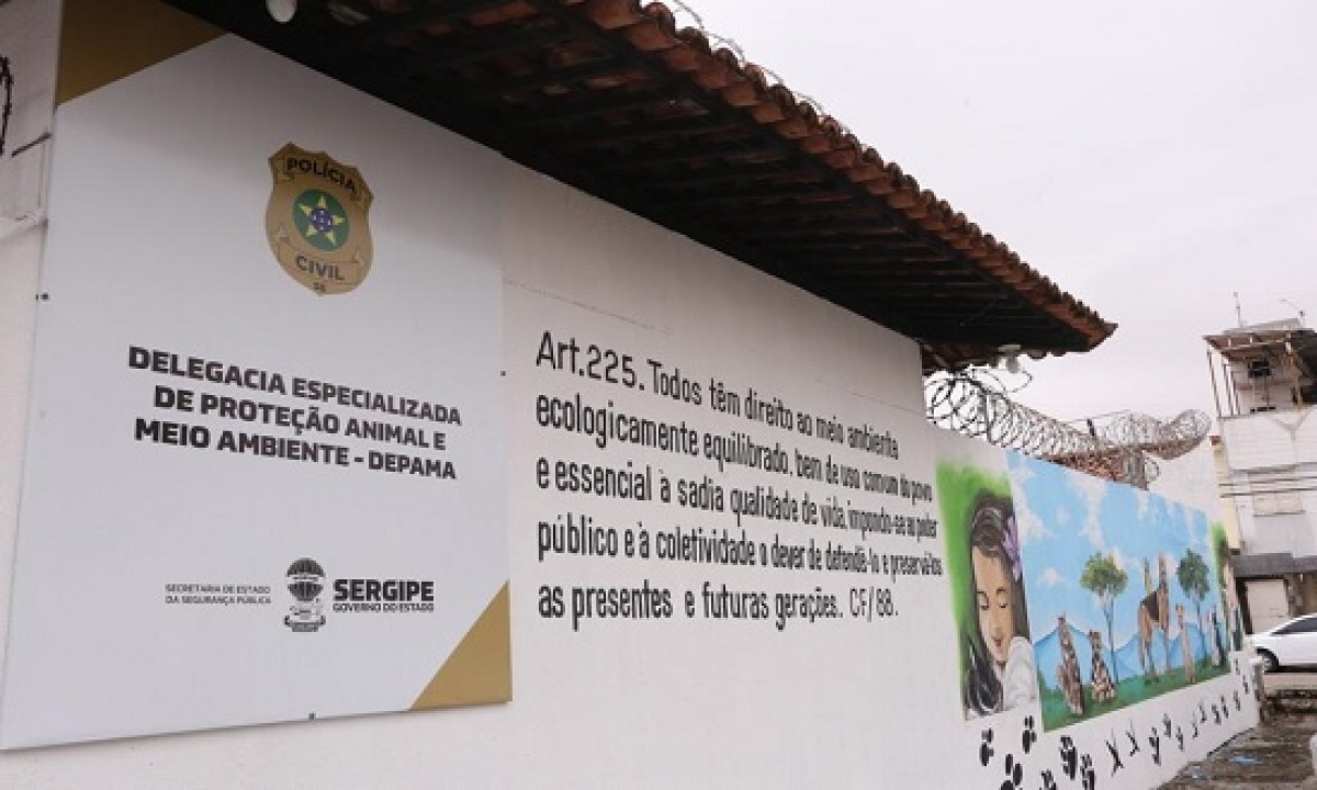Mulher que atropelou cachorro em Lagarto é indiciada por maus tratos (Foto: Jorge Henrique)