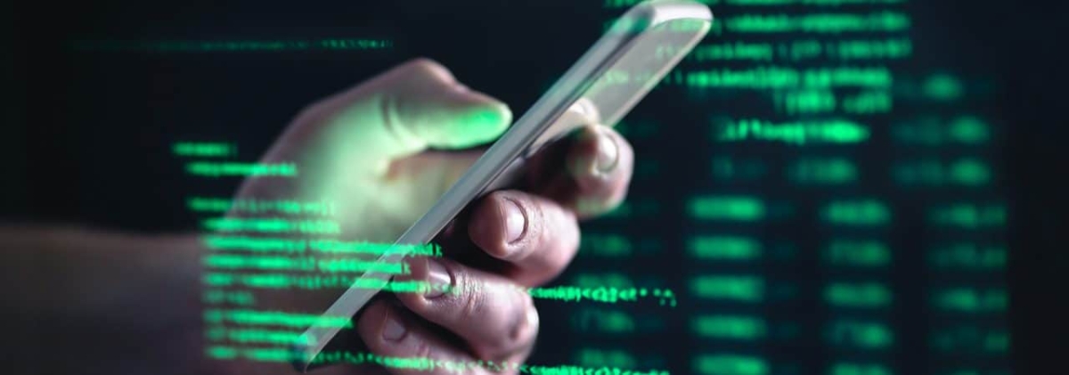 "Dinheiro esquecido": cerca de 30 sites falsos são identificados em 48h; veja como se proteger (Foto: Olhar Digital)