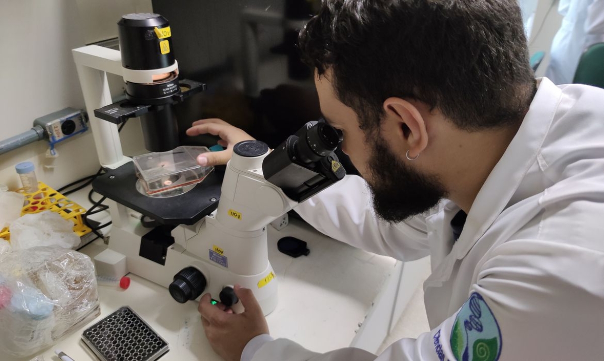 Células neuronais pesquisadas pela UNB (Foto: Robson Moura/ TV Brasil)