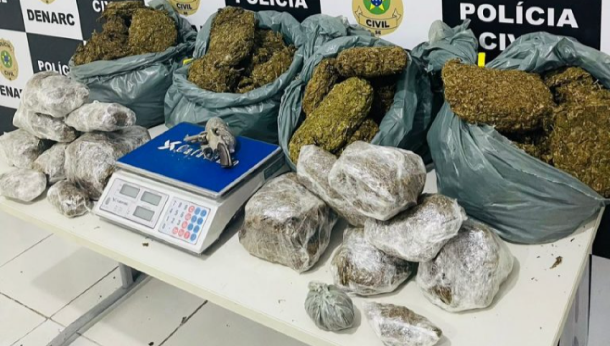 Polícia Civil apreende grande quantidade de maconha "skank" no bairro Santa Maria (Foto: SSP/SE)