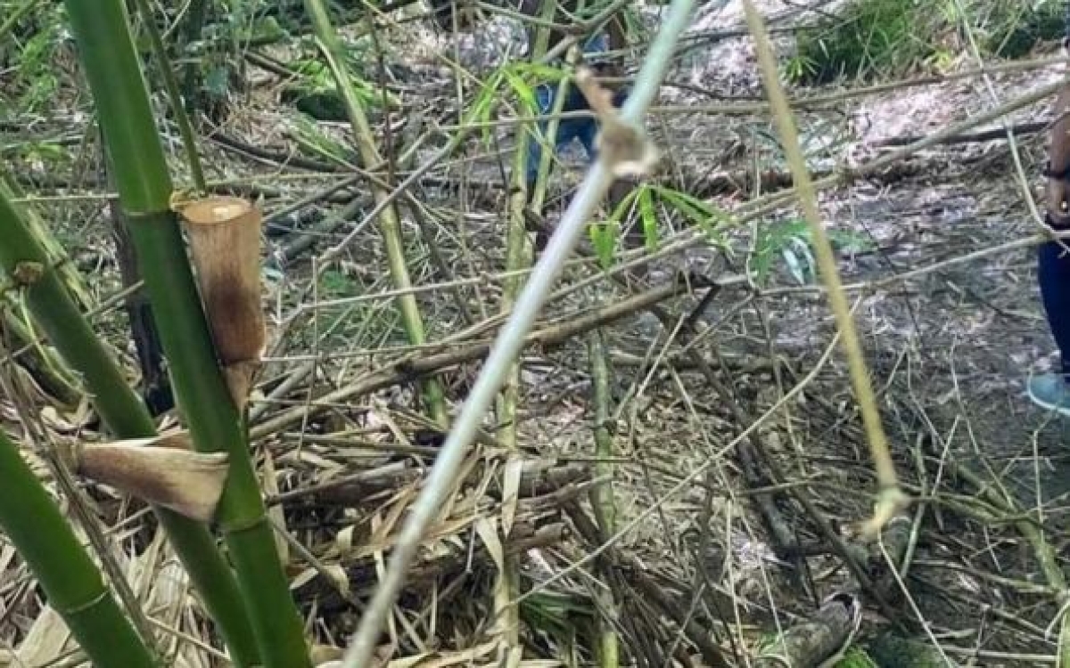 O trabalhador autônomo foi sequestrado enquanto trabalhava e teve o carro roubado (Foto: Reprodução/ SSP/SE)