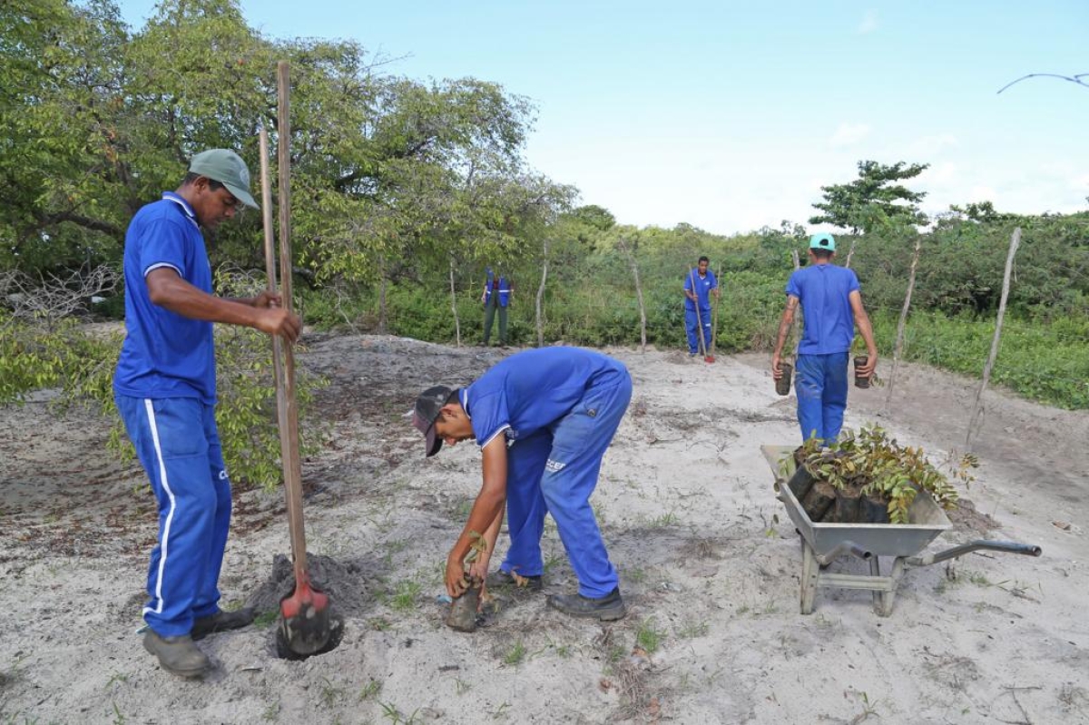 Prefeitura de Aracaju realiza plantio de 200 mudas na Reserva Extrativista Mangabeiras - Foto: Marcelle Cristinne | Prefeitura de Aracaju