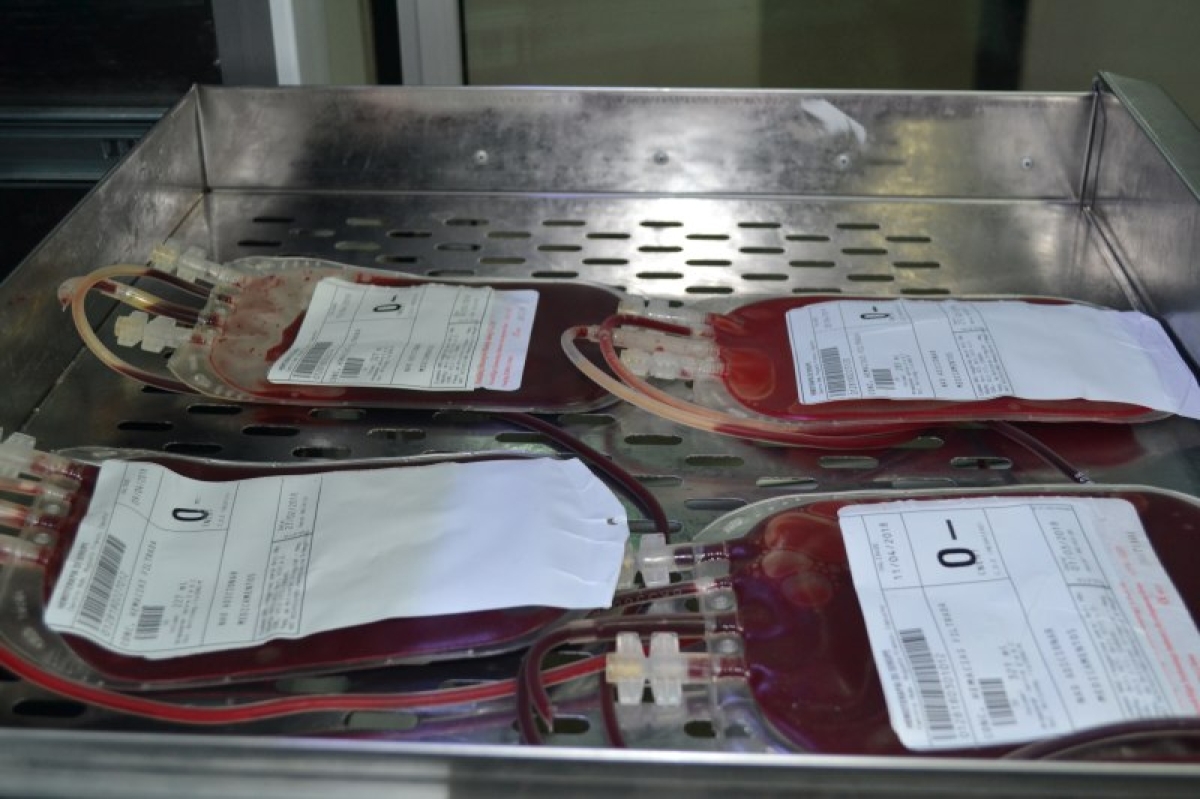 Hemose abre inscrições para atualização de enfermagem na Hemoterapia - Foto: SES/SE