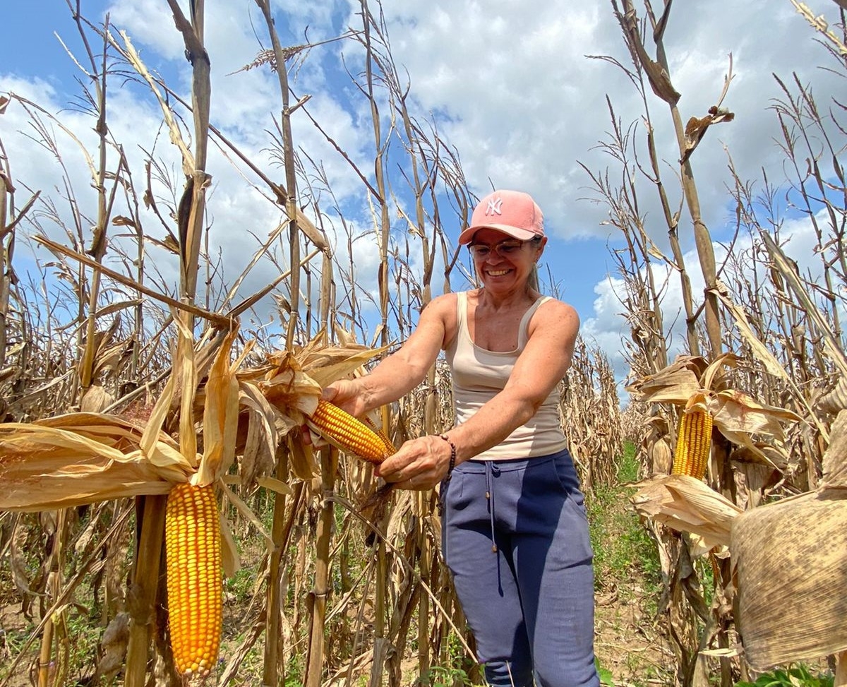 Senar Sergipe abre credenciamento para profissionais de nível técnico e superior em Ciências Agrárias - Foto: Senar SE