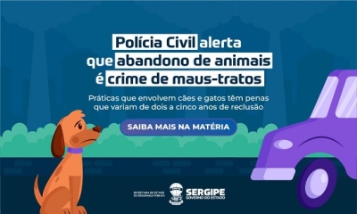 Práticas que envolvem cães e gatos têm penas que variam de dois a cinco anos de reclusão - Foto: SSP/SE